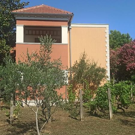 Apartments Rolovina Tivat Exterior foto