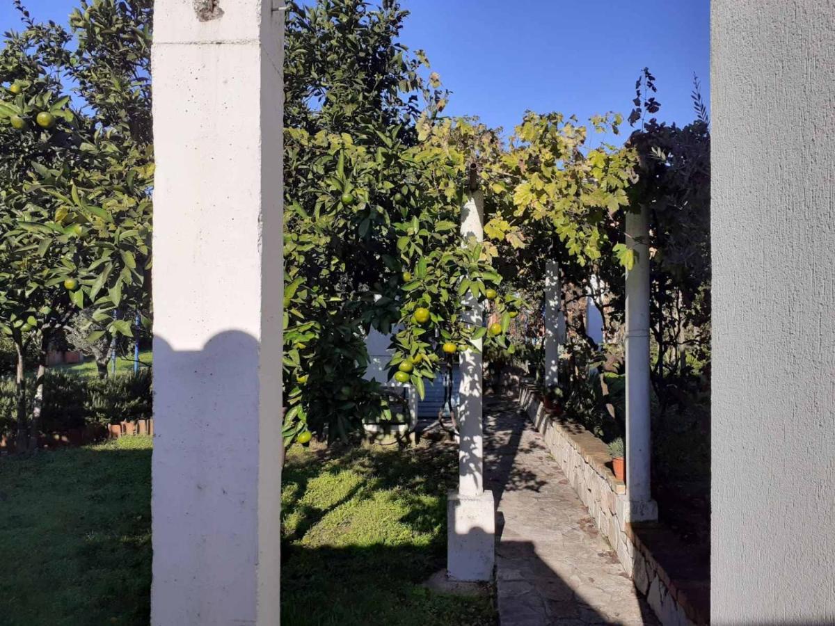 Apartments Rolovina Tivat Exterior foto